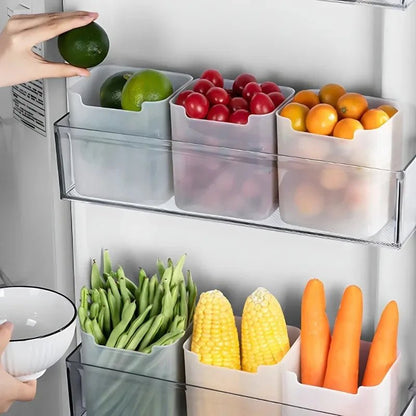 1/5PCS Refrigerator Storage Boxes Food Fresh Organizer Cold Storage Crisper Fruit Spice Food Container Boxes Home Kitchen Boxes - MAGUSTA BEAUTY