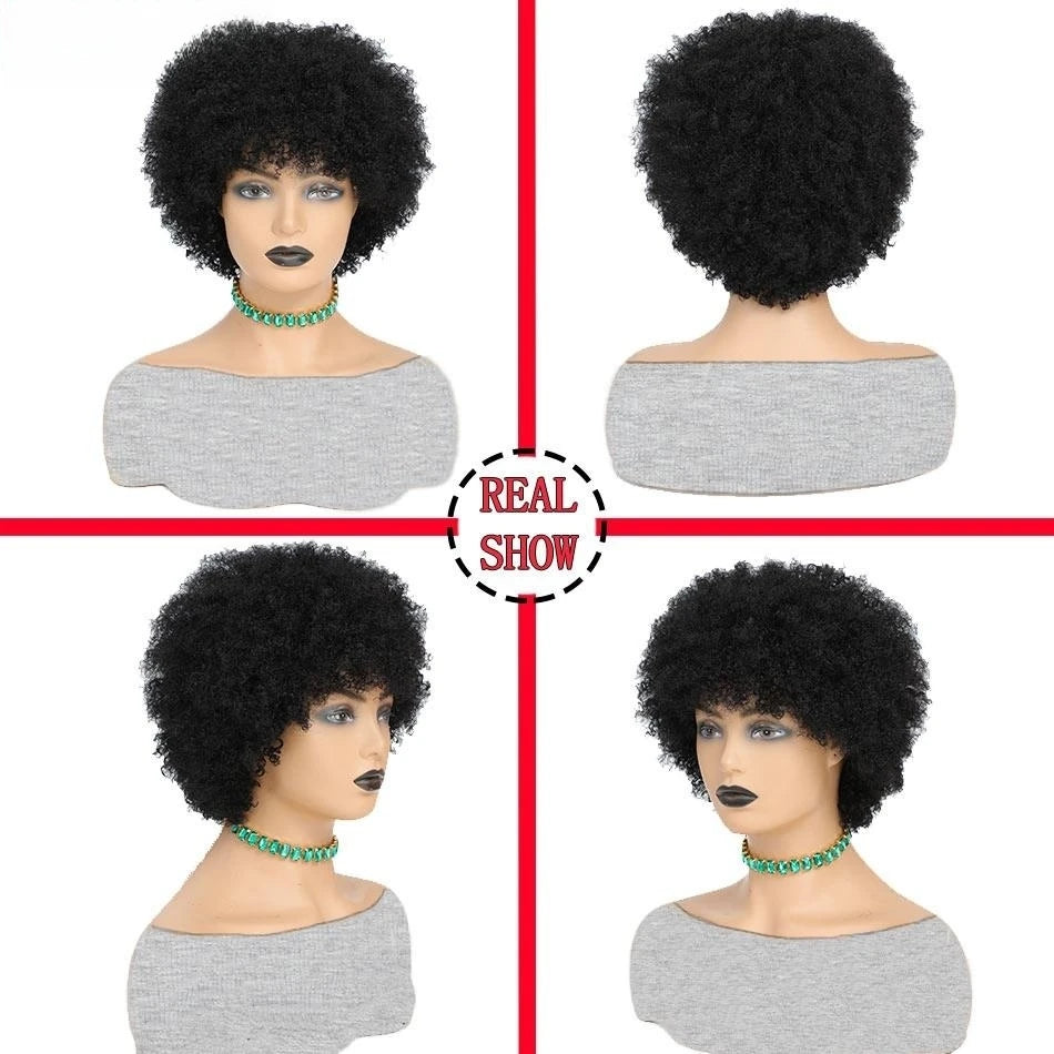 Short Afro Kinky Curly #27 Wig For Woman 100% Human Hair Wigs 180% Density Pixie Curl Afro Wig Afro Kinky Curly Wigs